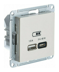 Розетка USB+USB type C Systeme Electric ATLASDESIGN, скрытый монтаж, бежевый, ATN000229