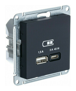 Розетка USB+USB type C Systeme Electric ATLASDESIGN, скрытый монтаж, карбон, ATN001029